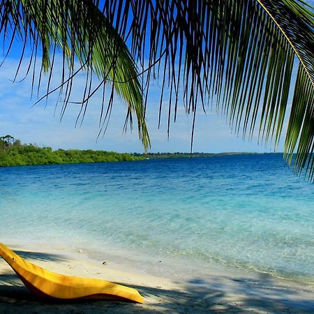 Coconut Hostel Bocas Town 外观 照片