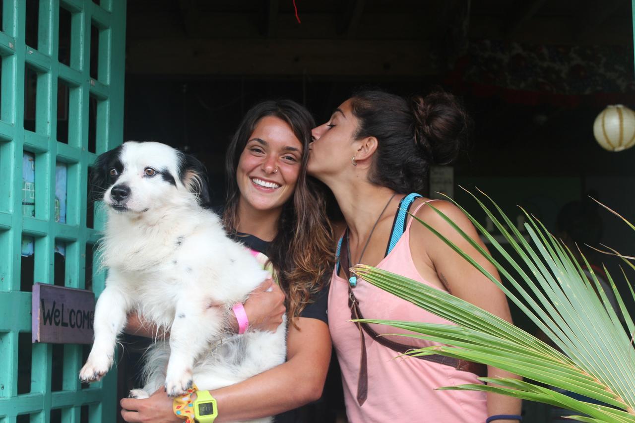 Coconut Hostel Bocas Town 外观 照片
