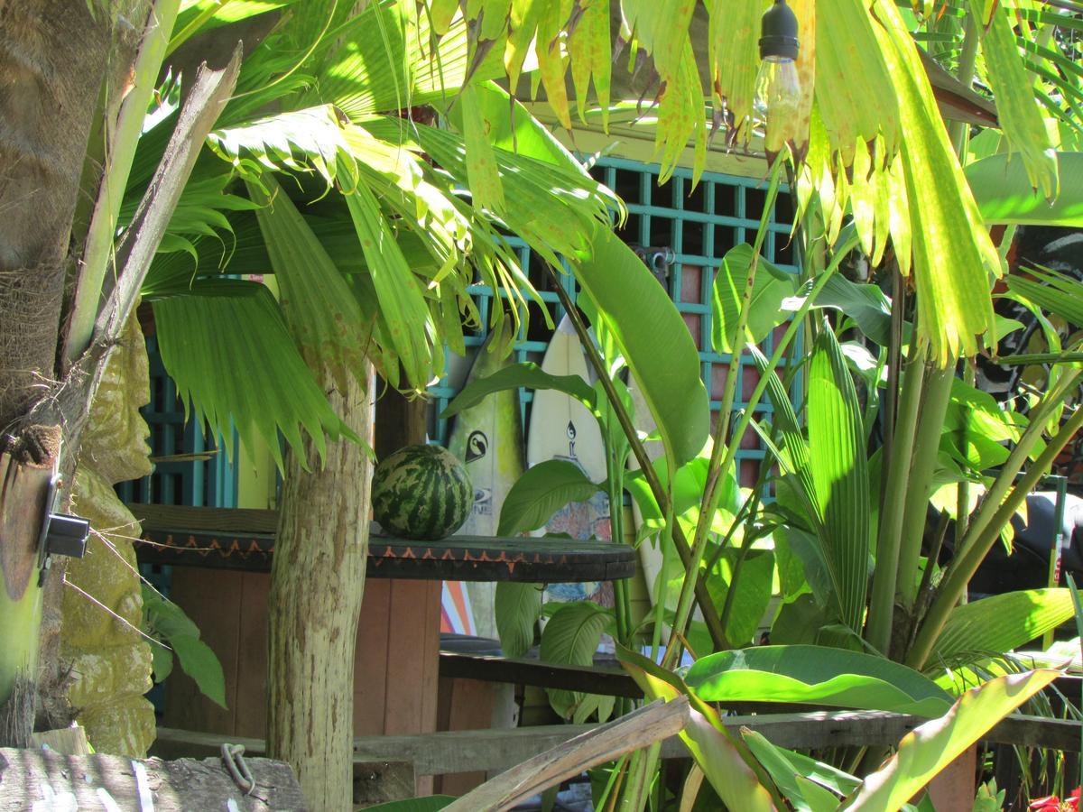 Coconut Hostel Bocas Town 外观 照片