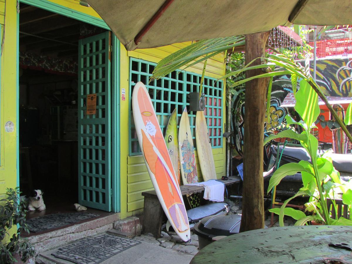 Coconut Hostel Bocas Town 外观 照片