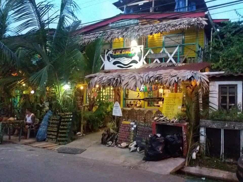 Coconut Hostel Bocas Town 外观 照片