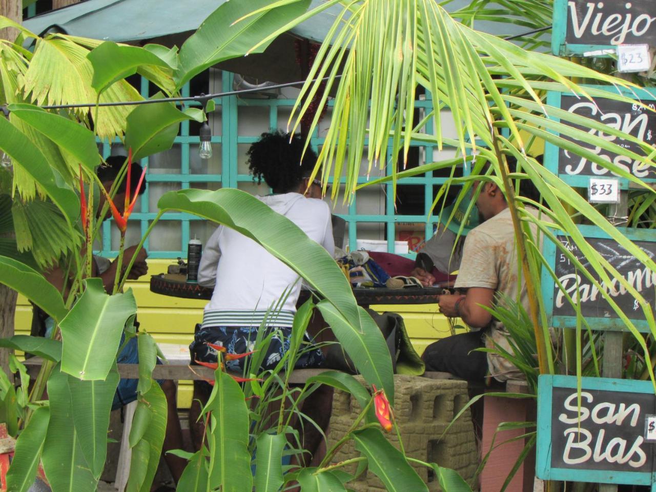 Coconut Hostel Bocas Town 外观 照片
