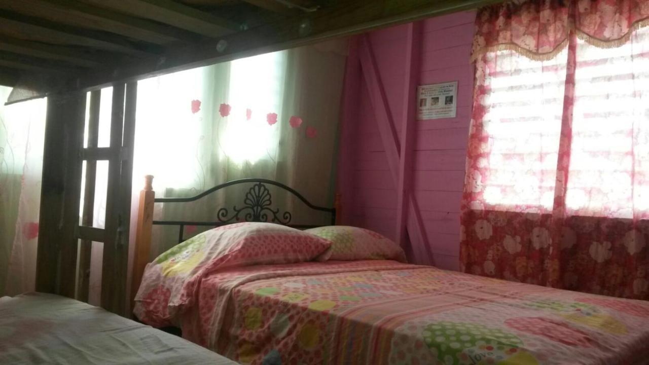 Coconut Hostel Bocas Town 外观 照片