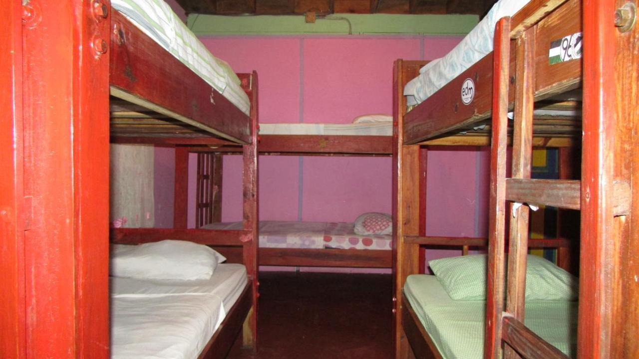 Coconut Hostel Bocas Town 外观 照片