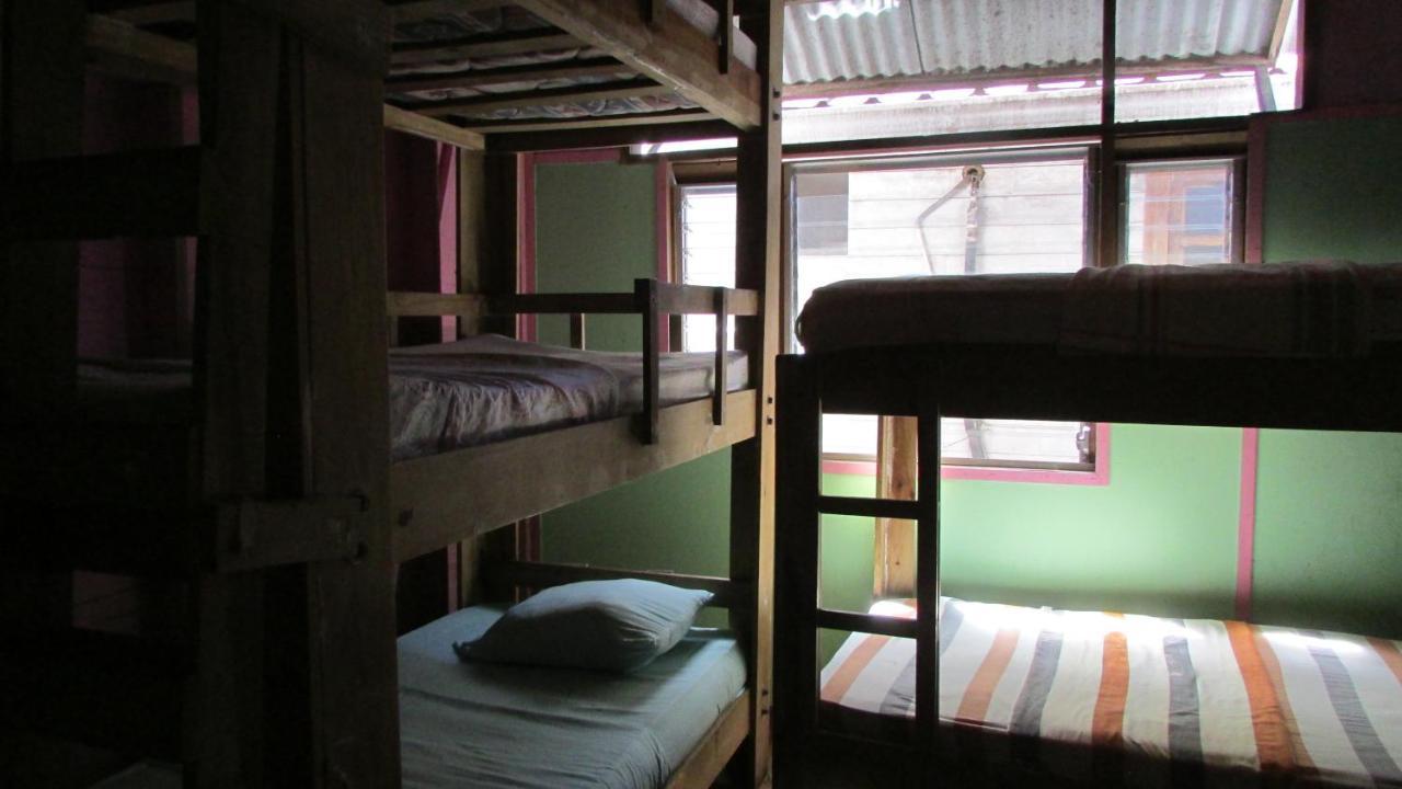 Coconut Hostel Bocas Town 外观 照片