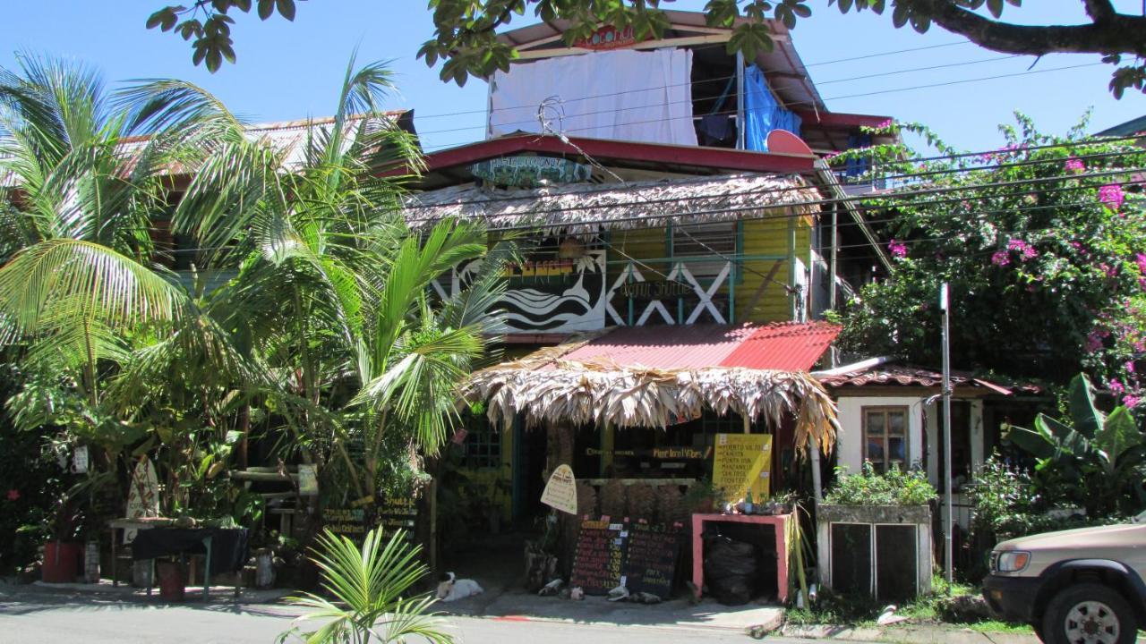 Coconut Hostel Bocas Town 外观 照片