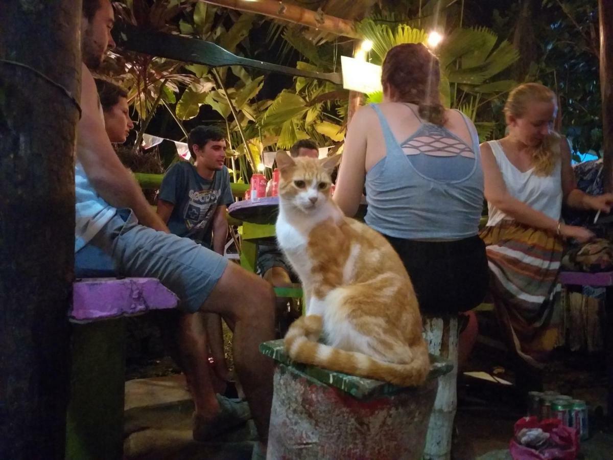 Coconut Hostel Bocas Town 外观 照片