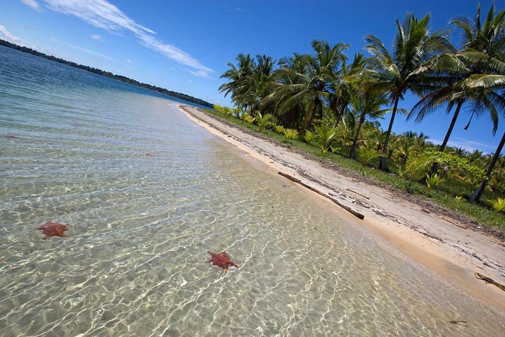 Coconut Hostel Bocas Town 外观 照片