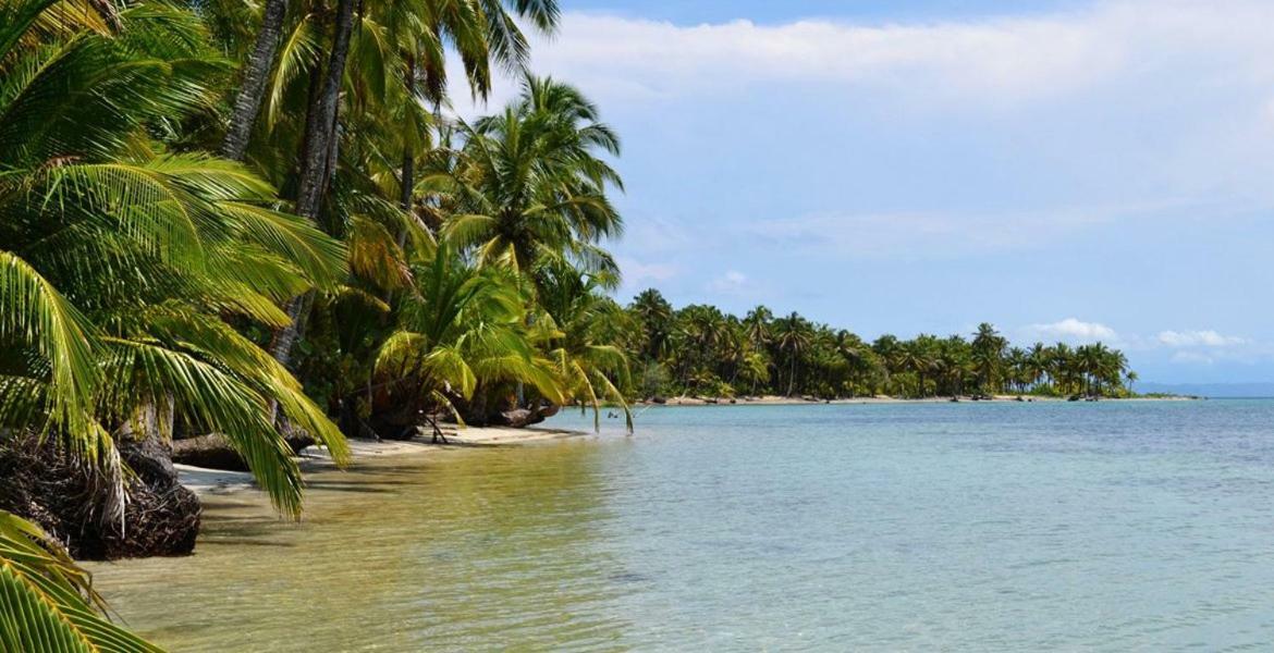 Coconut Hostel Bocas Town 外观 照片