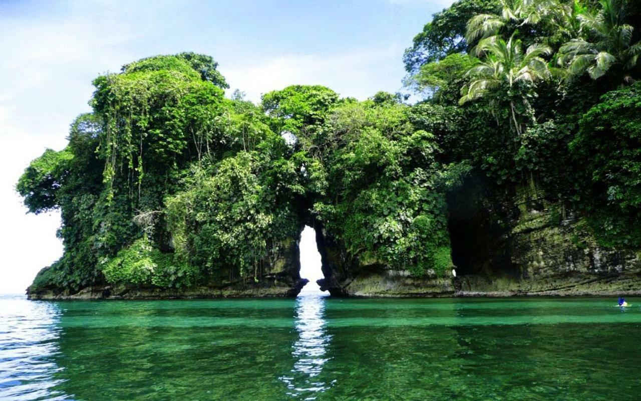 Coconut Hostel Bocas Town 外观 照片