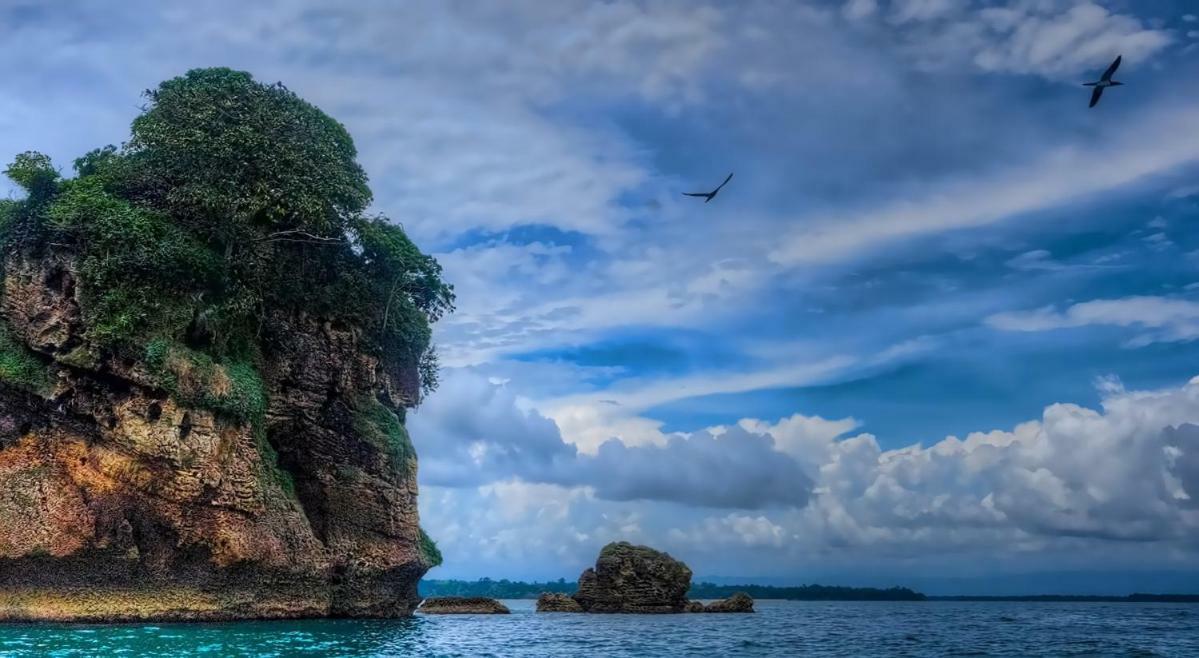Coconut Hostel Bocas Town 外观 照片