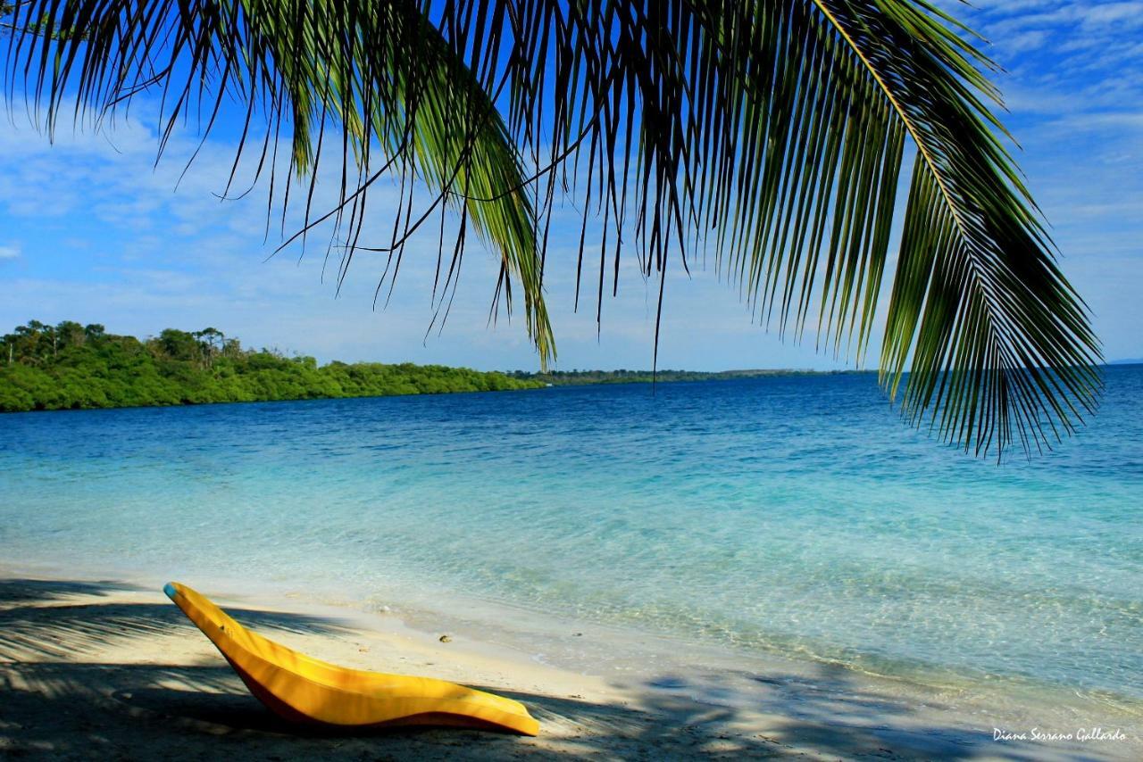Coconut Hostel Bocas Town 外观 照片