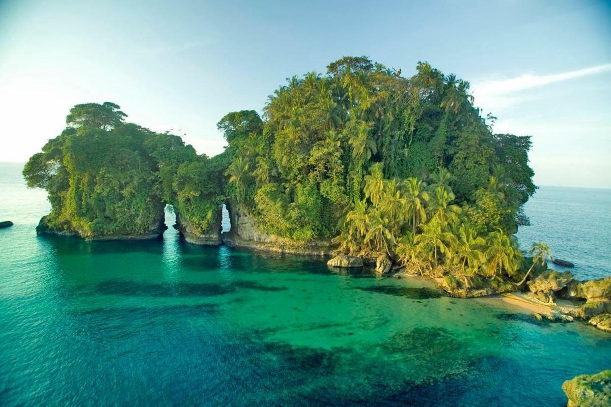 Coconut Hostel Bocas Town 外观 照片