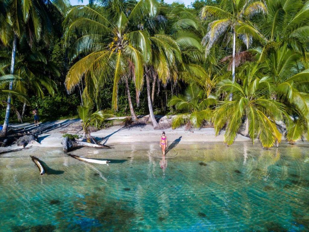 Coconut Hostel Bocas Town 外观 照片